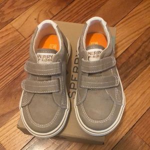 Toddler Boy 8W Sperry